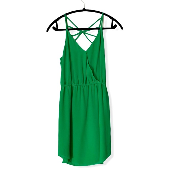 Naked Zebra Dress - Picture 1 of 3